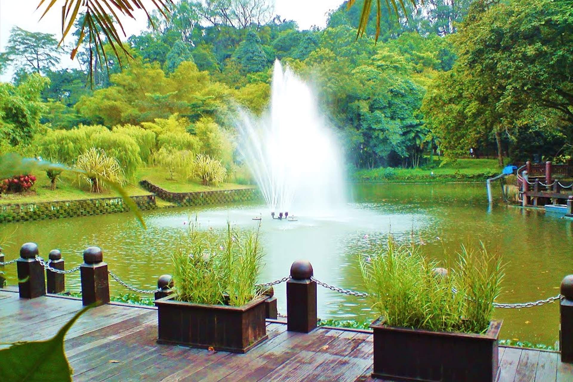 حديقة بحيرة تيتيوانجسا كوالالمبور